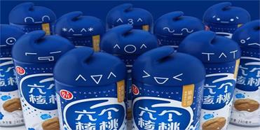 六個(gè)核桃的品牌戰(zhàn)略分析