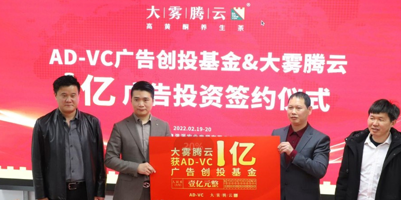 大霧騰云高黃酮養生茶品牌定位案例