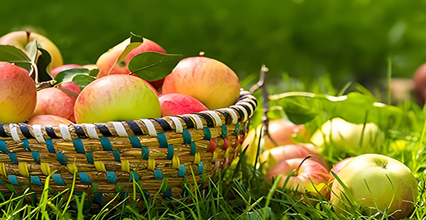 怎么給農產品做品牌定位工作