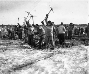 北大荒大米品牌定位,農業產品戰略定位