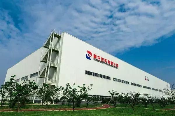 神龍集團戰略,神龍