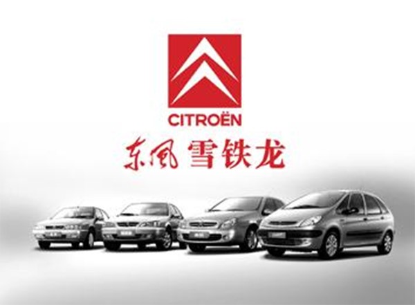 神龍集團戰略,神龍,東風雪鐵龍