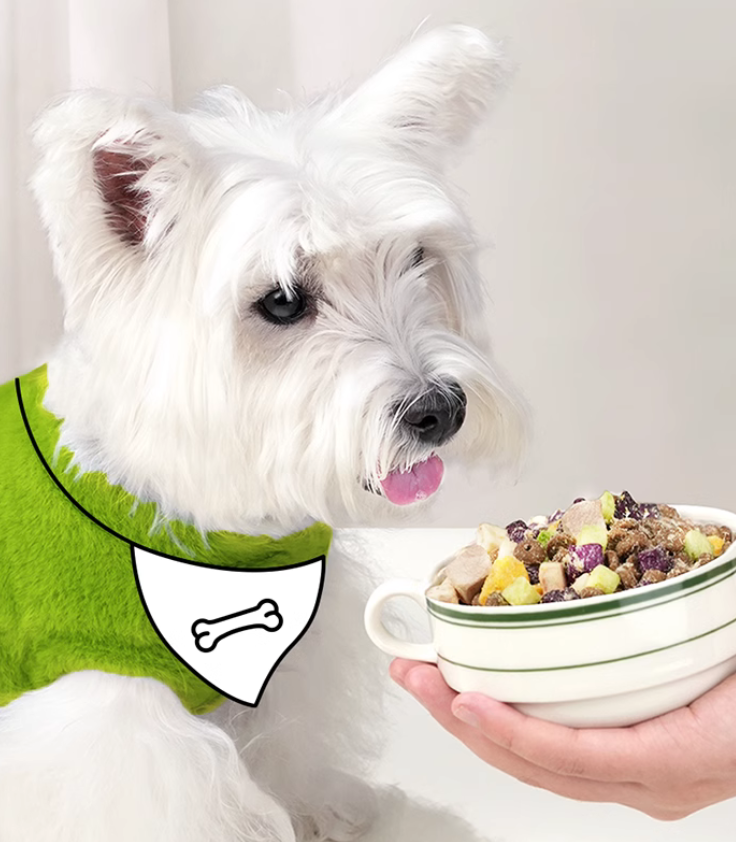 狗糧品牌定位案例分析