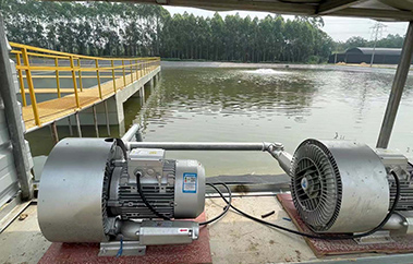 工廠化水產養殖設備品牌定位案例分析